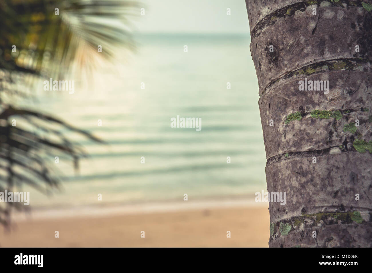 Tropischer Strand mit Palmen und Meer bei Sonnenuntergang im Sommer Strand Urlaub Hintergrund im Vintage Style Stockfoto