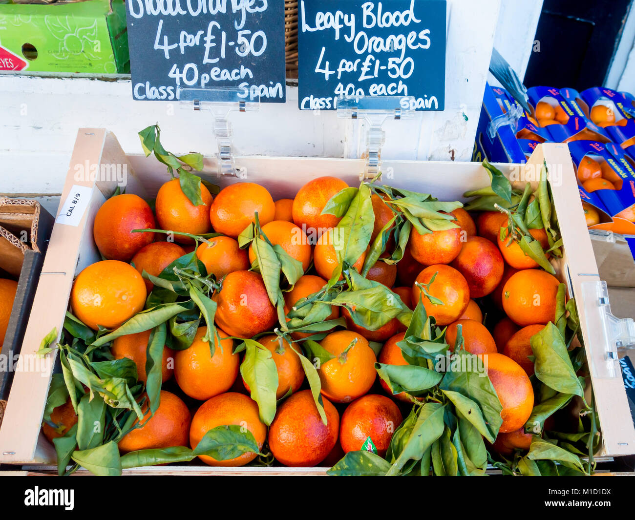 Eine Anzeige der Grünen Blutorangen Citrus sinensis aus Spanien in einem North Yorkshire Gemüsehändler shop Stockfoto