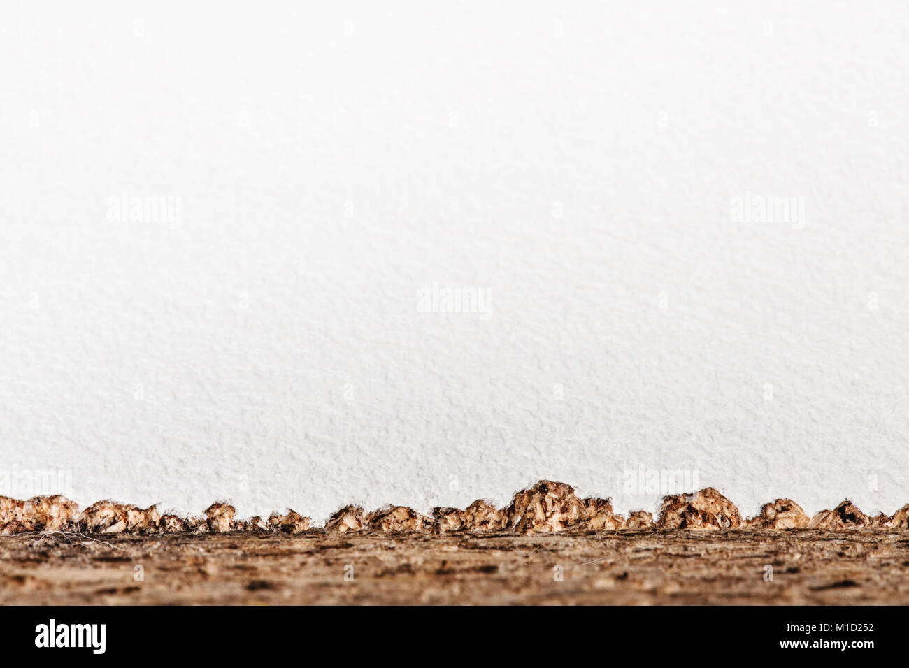 Nahaufnahme einer rauhen Schnitt weißes Holzbrett für Möbel verwenden Stockfoto