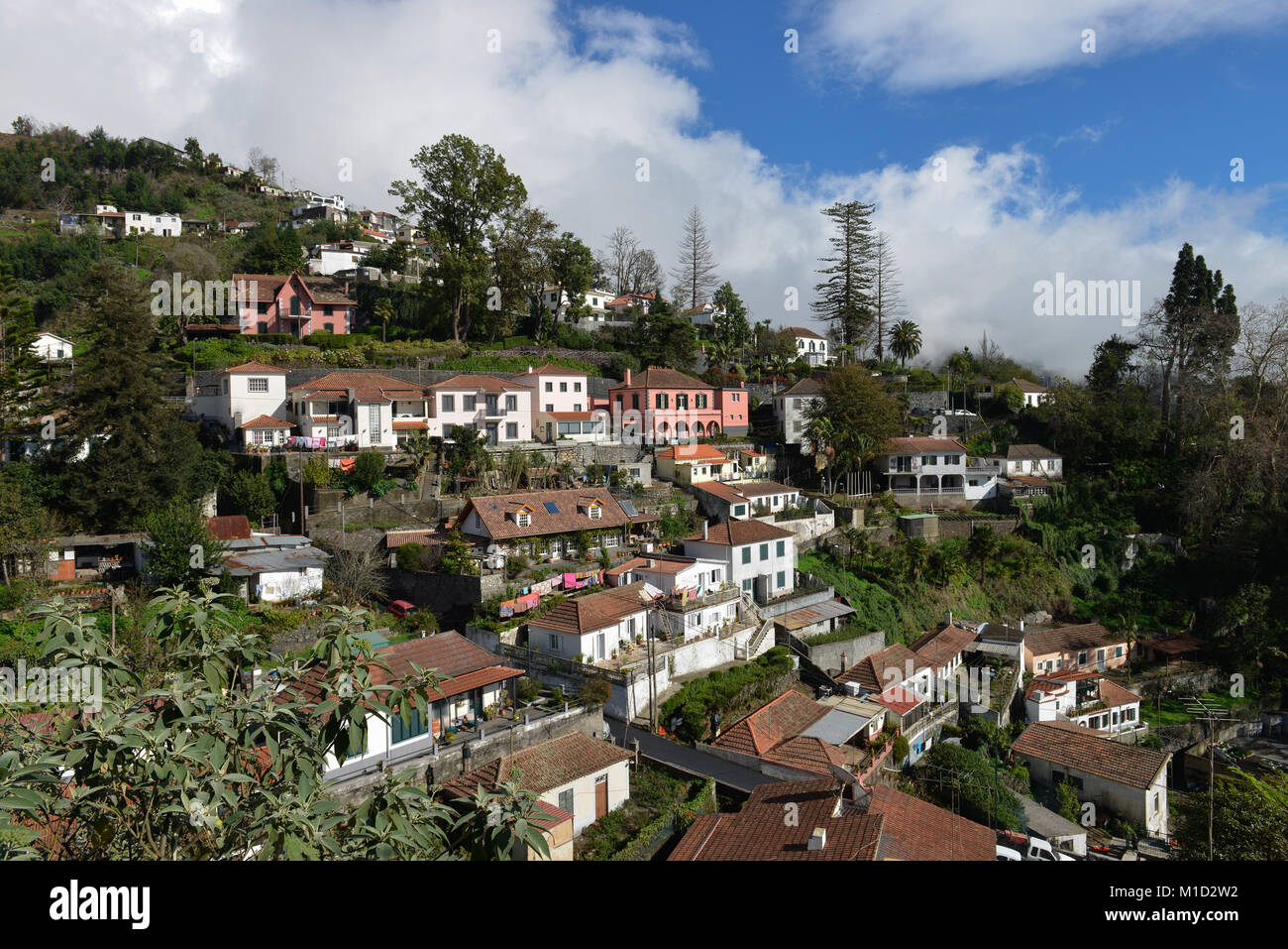 Wohnhäuser, Monte, Funchal, Madeira, Portugal, Wohnhaeuser Stockfotografie - Alamy