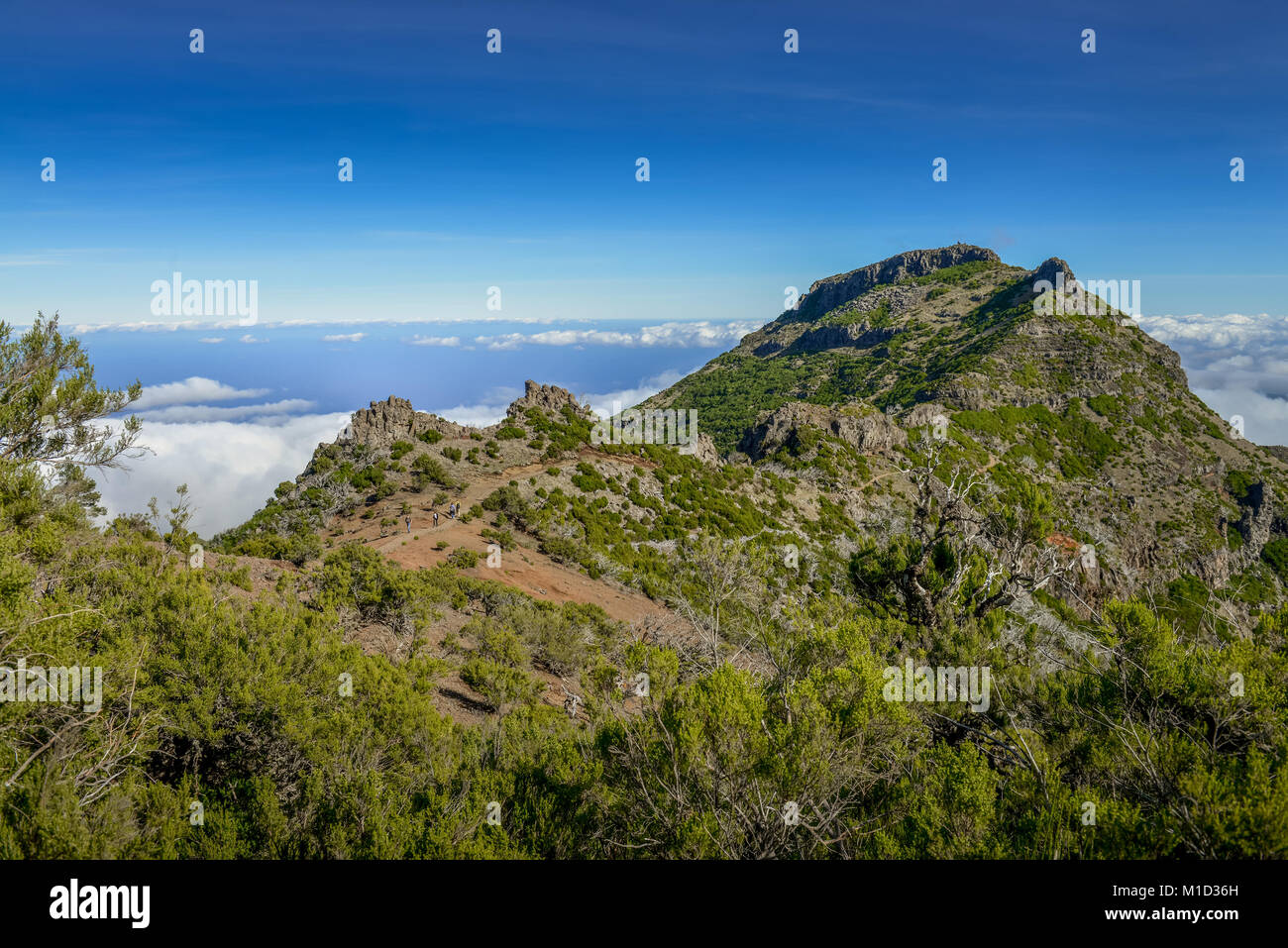 Berglandschaft des Pico Ruivo, zentrale Berge, Madeira, Portugal, Berglandschaft am Pico Ruivo, Zentralgebirge Stockfoto