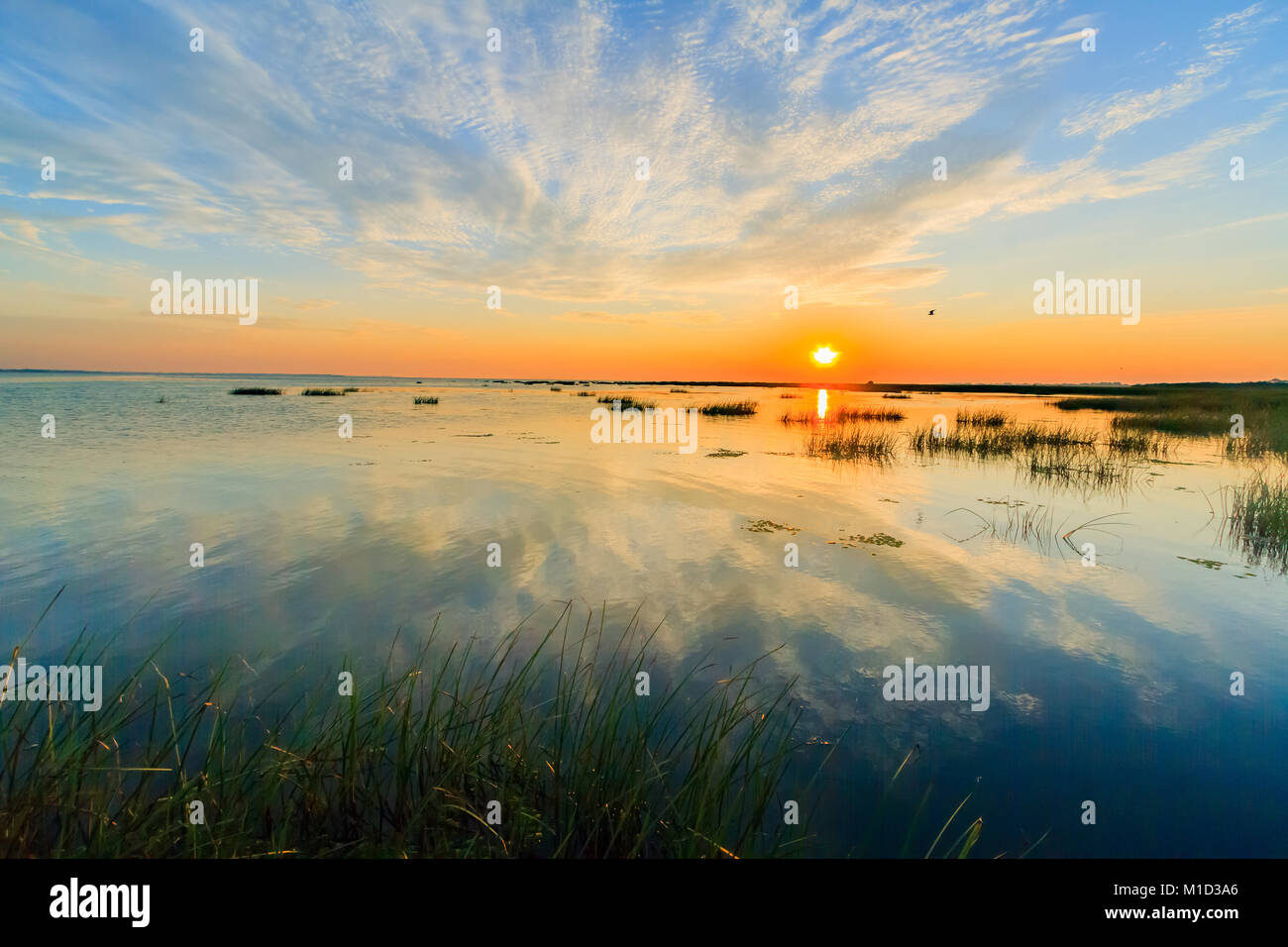 Sunrise Farben in das Donau Delta, wo Sulina Kanal am Schwarzen Meer in Rumänien treffen. Blick vom Kajak. Stockfoto