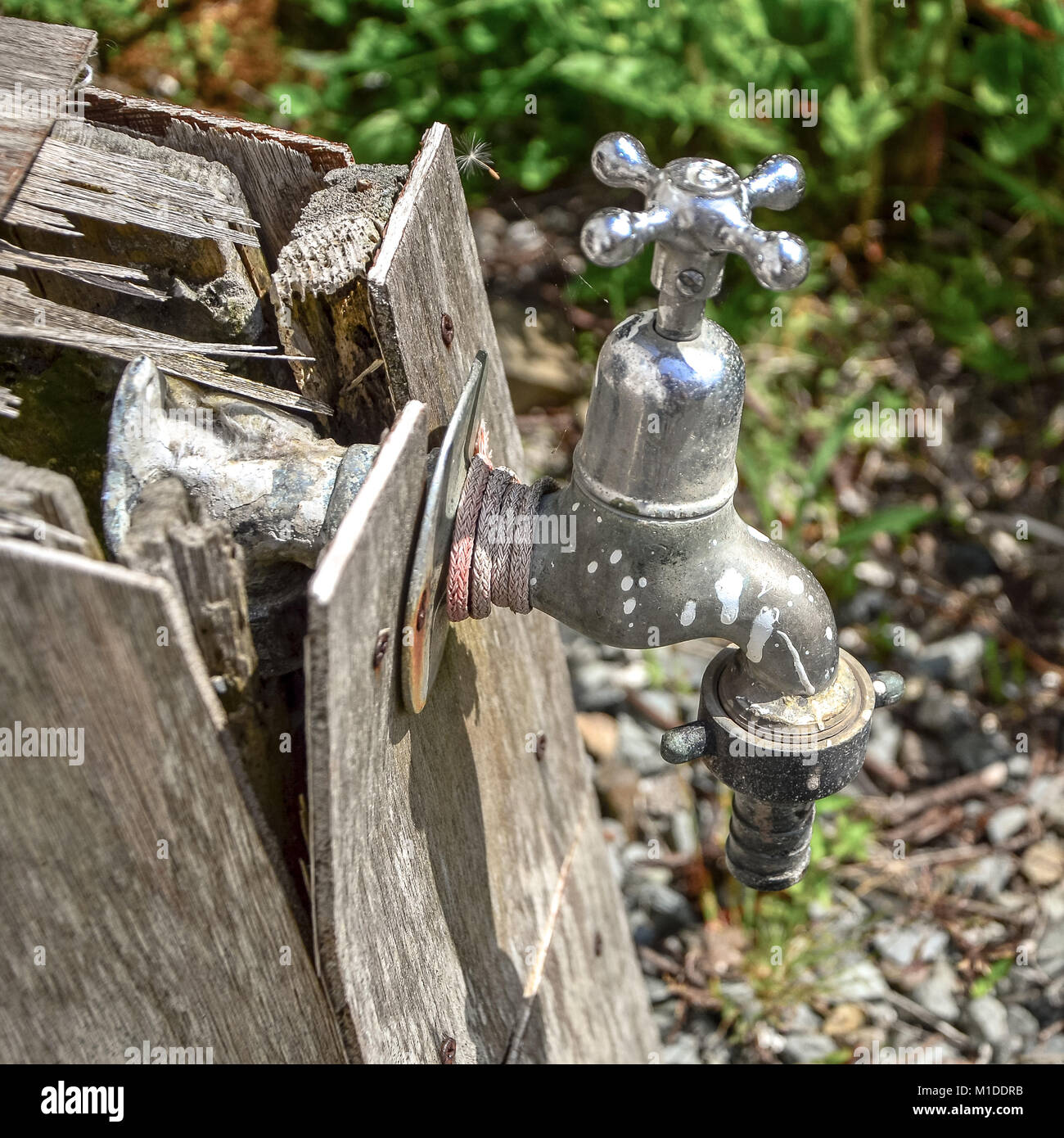 Alte Garten Wasserhahn Stockfoto Bild 173014559 Alamy