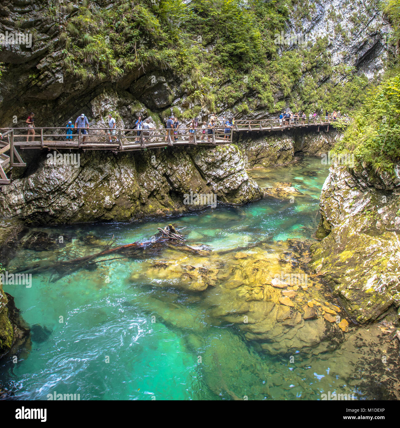 Soteska Schlucht Vintgar mit Touristen zu Fuß auf der Promenade entlang des Flusses Stockfoto