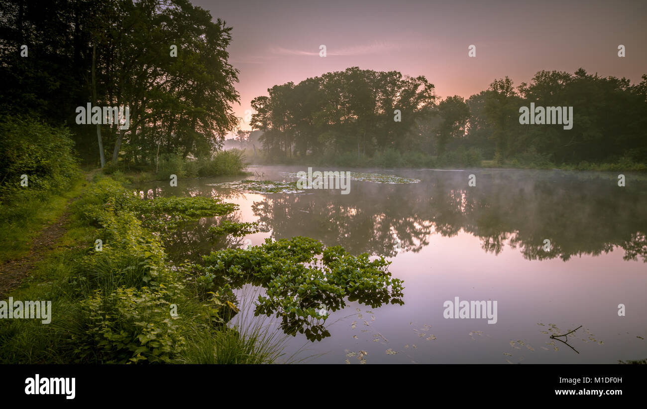 Spring Lake in Natura 2000 Naturschutzgebiet Springendal am nebligen Morgen im August Stockfoto