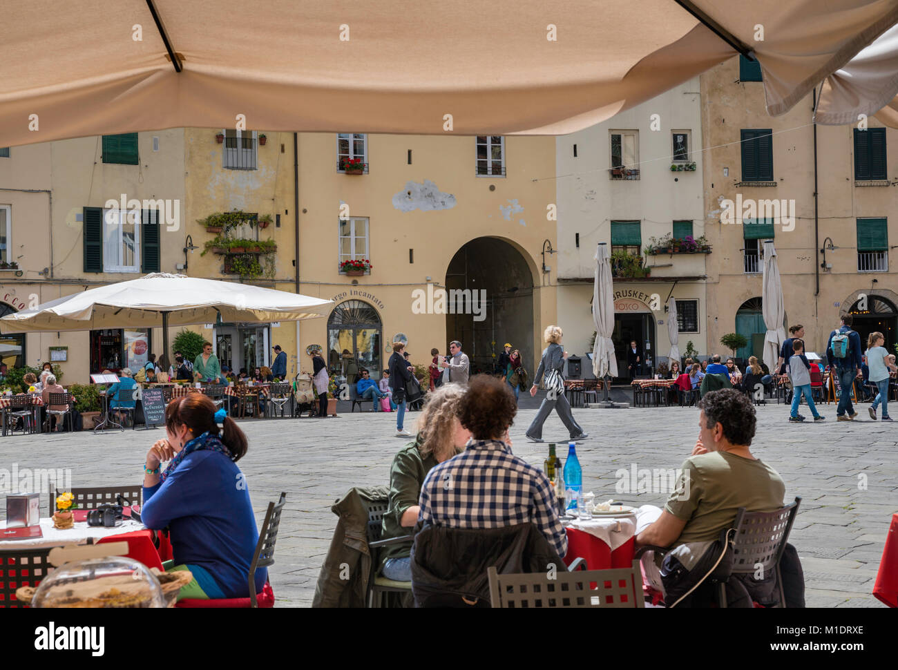 Café an der Piazza Anfiteatro im historischen Zentrum von Lucca, Toskana, Italien Stockfoto