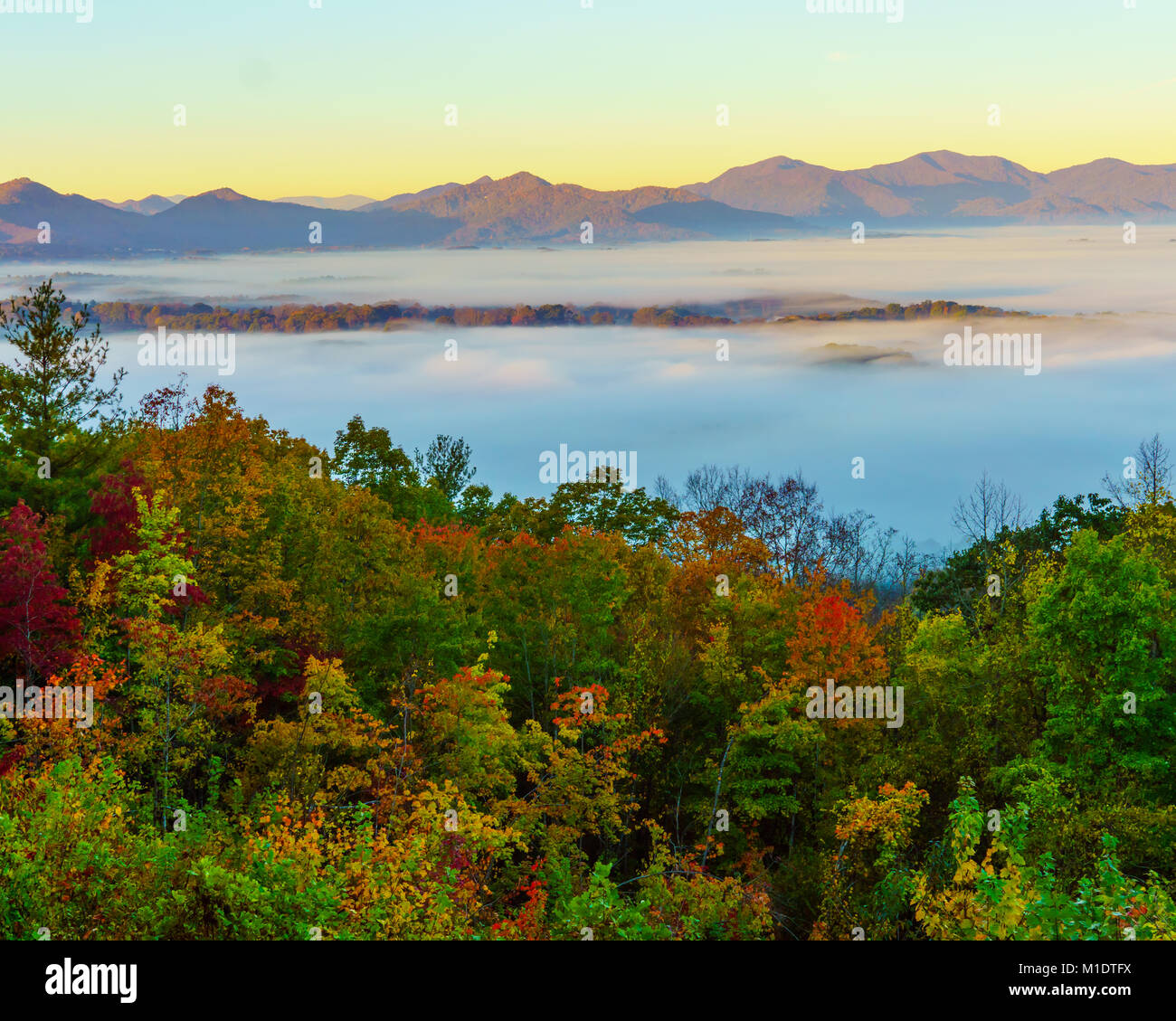 Morgennebel am unteren Rand ein Tal in den Appalachen im Herbst Stockfoto
