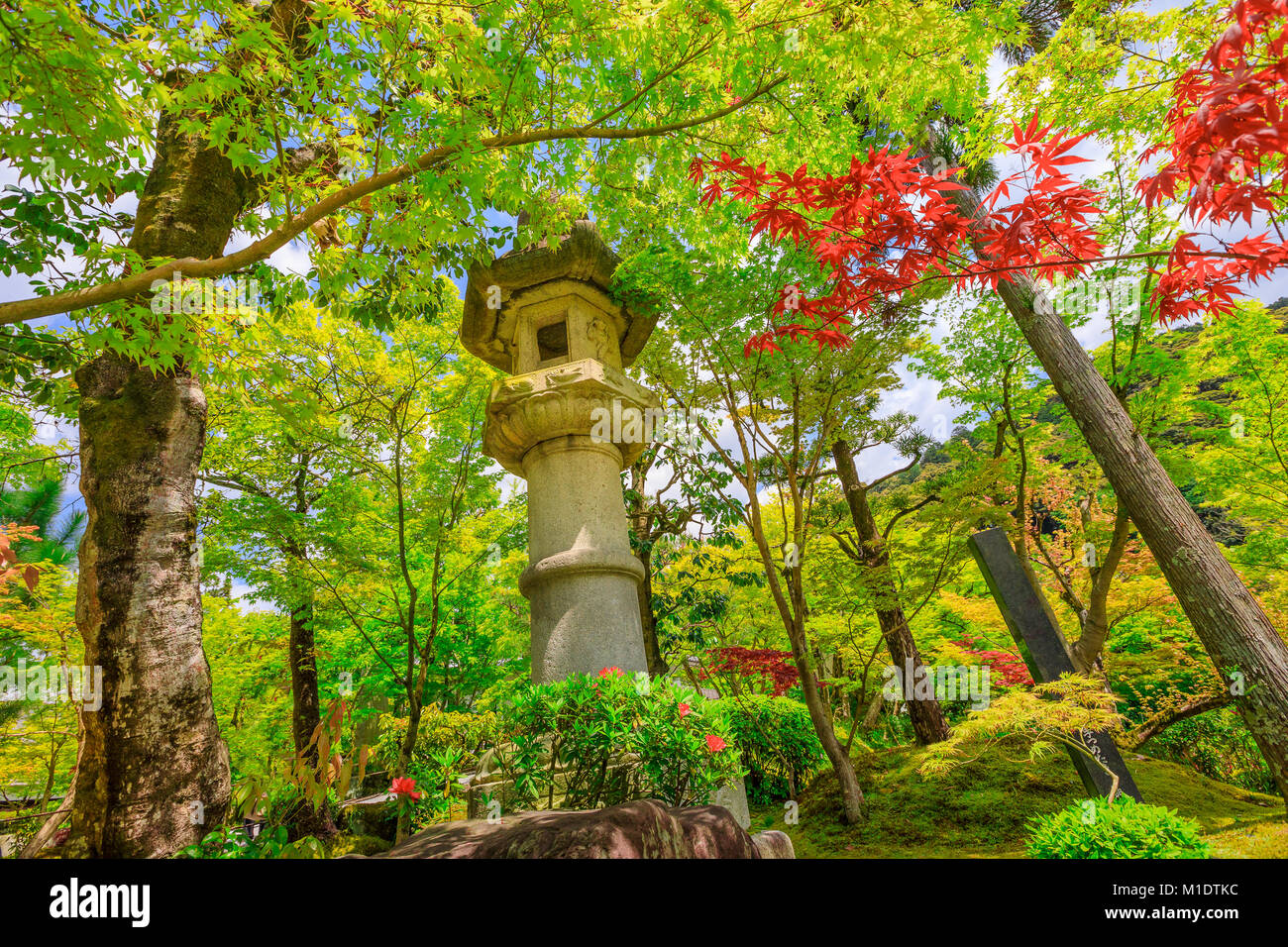 Zenrin-ji-Tempel Stein Laterne Stockfoto