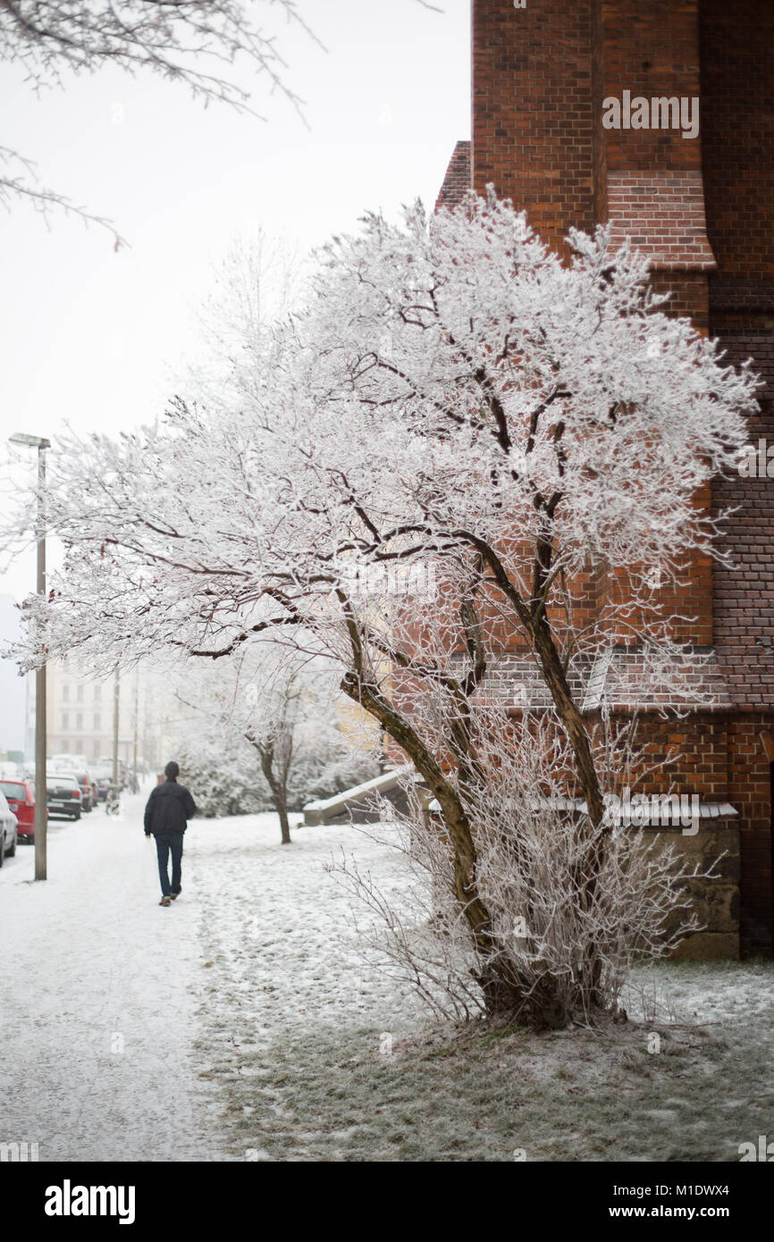 Winter in den Straßen von Leipzig Stockfoto