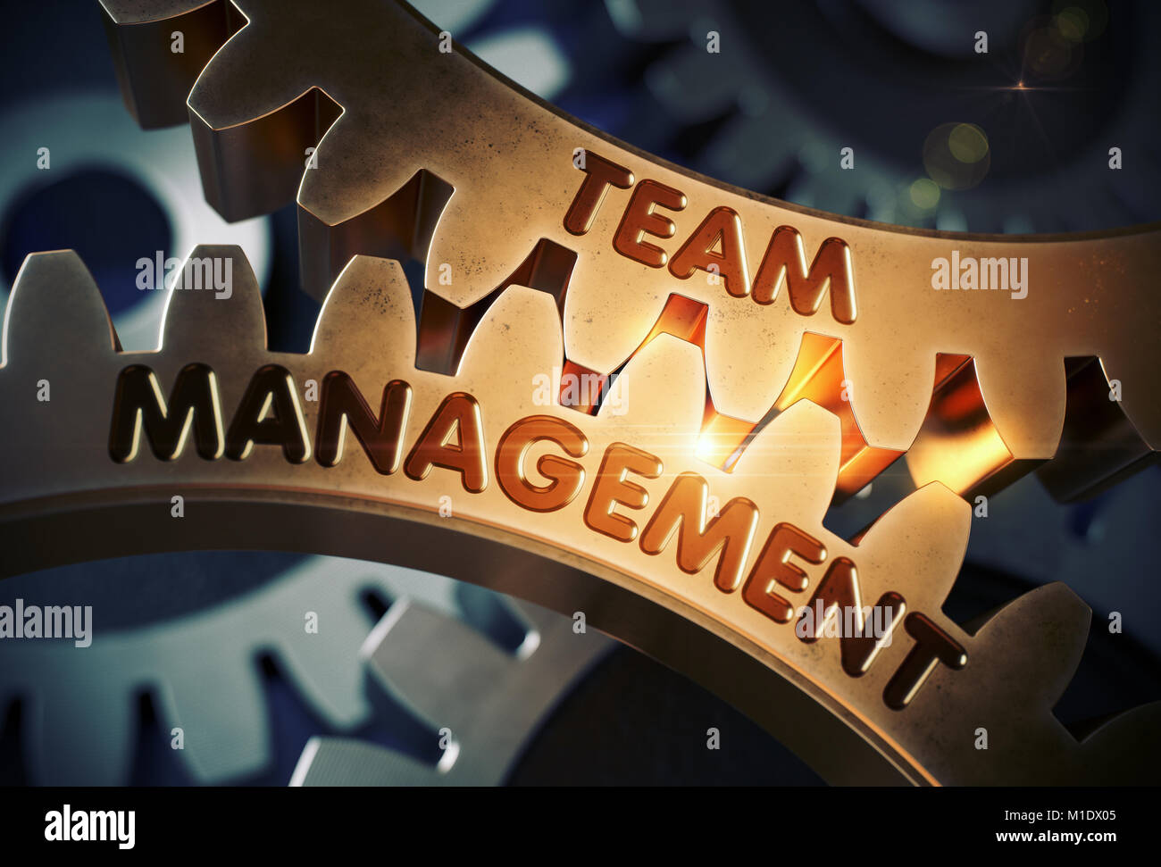 Golden Zahnräder mit Team Management Konzept. 3D-Darstellung. Stockfoto