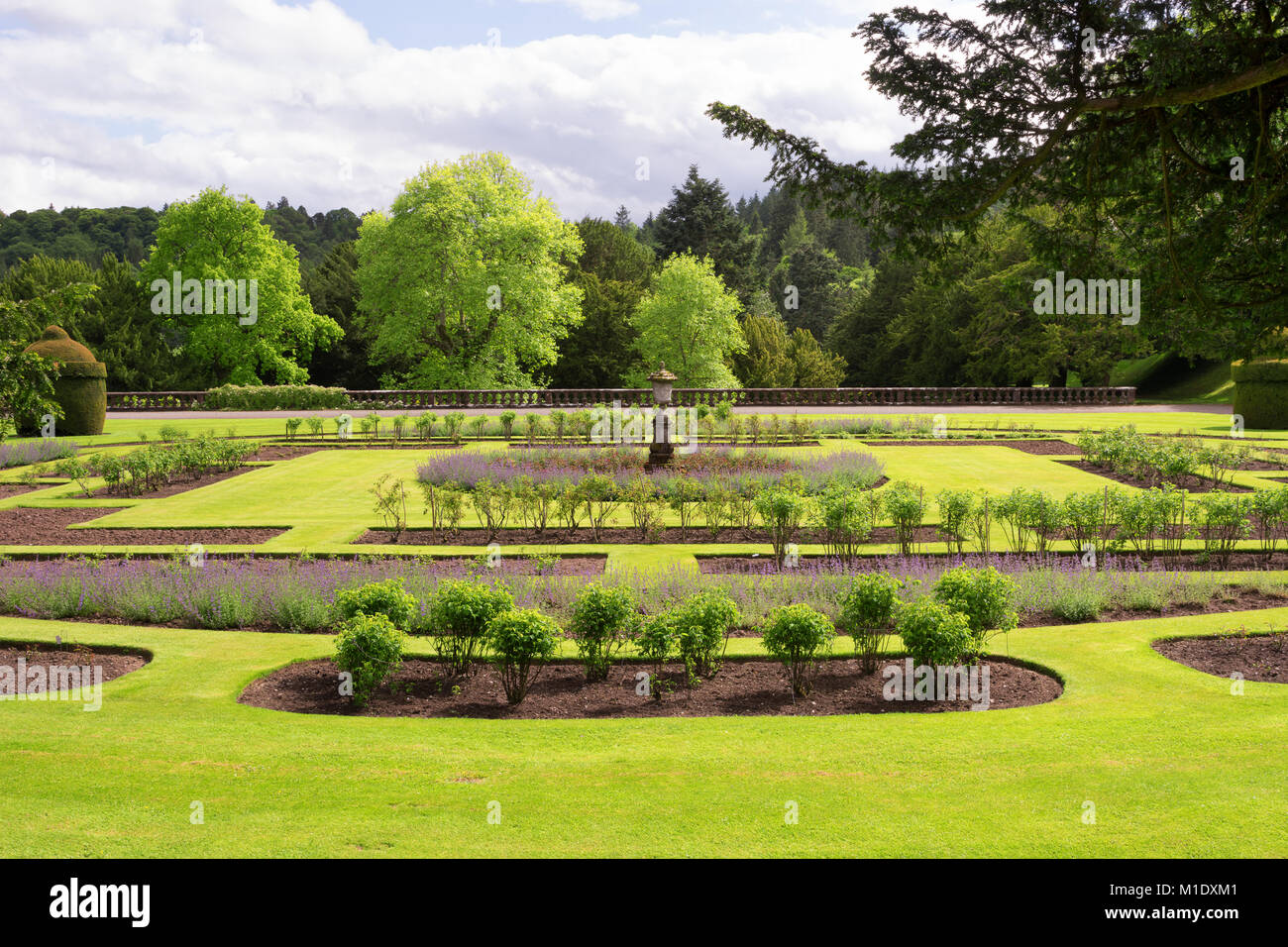 Drumlanrig Castle Garden, Queensberry, Dumfries und Galloway, Schottland, Vereinigtes Königreich, im Frühjahr oder Sommer Stockfoto