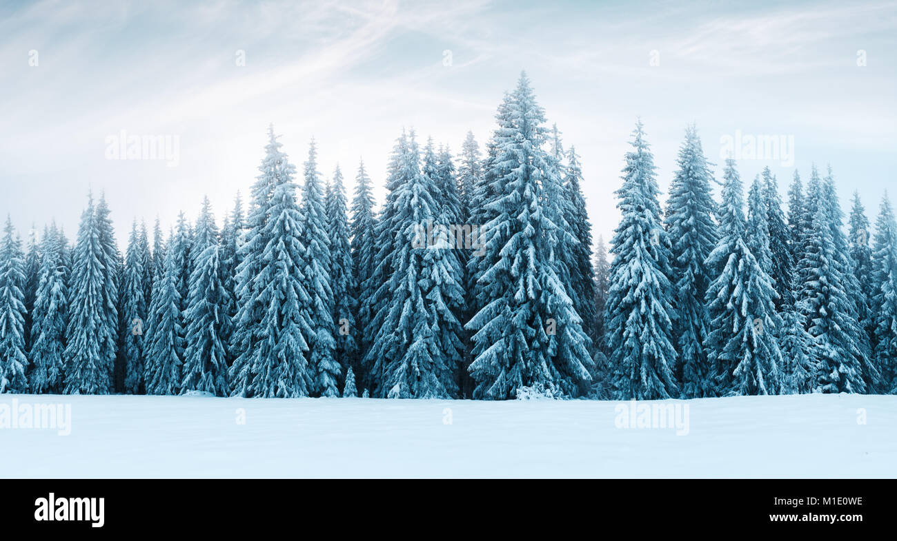 Traumhafte Winterlandschaft Stockfoto
