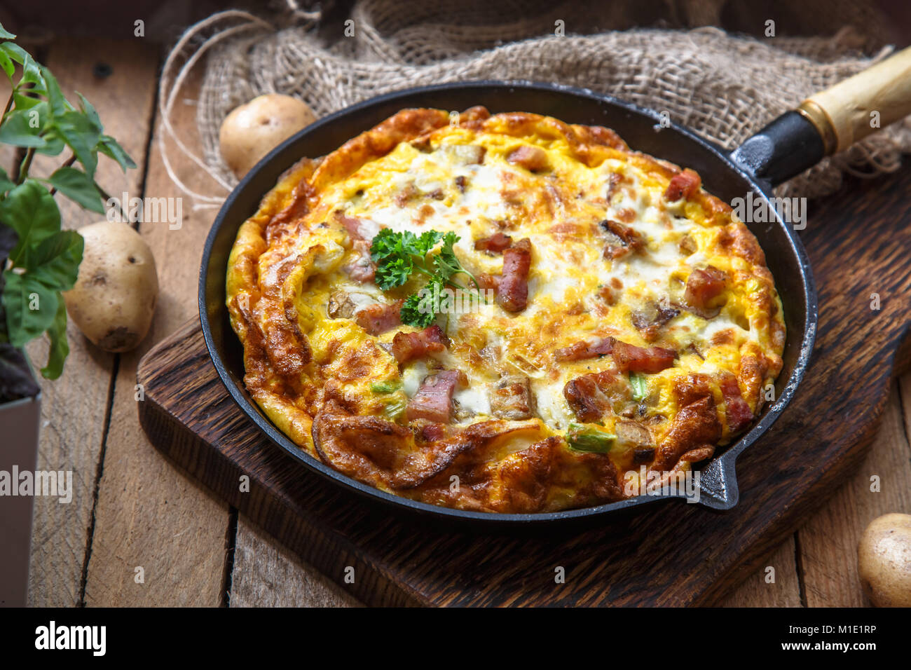 Dishofeggs -Fotos und -Bildmaterial in hoher Auflösung – Alamy
