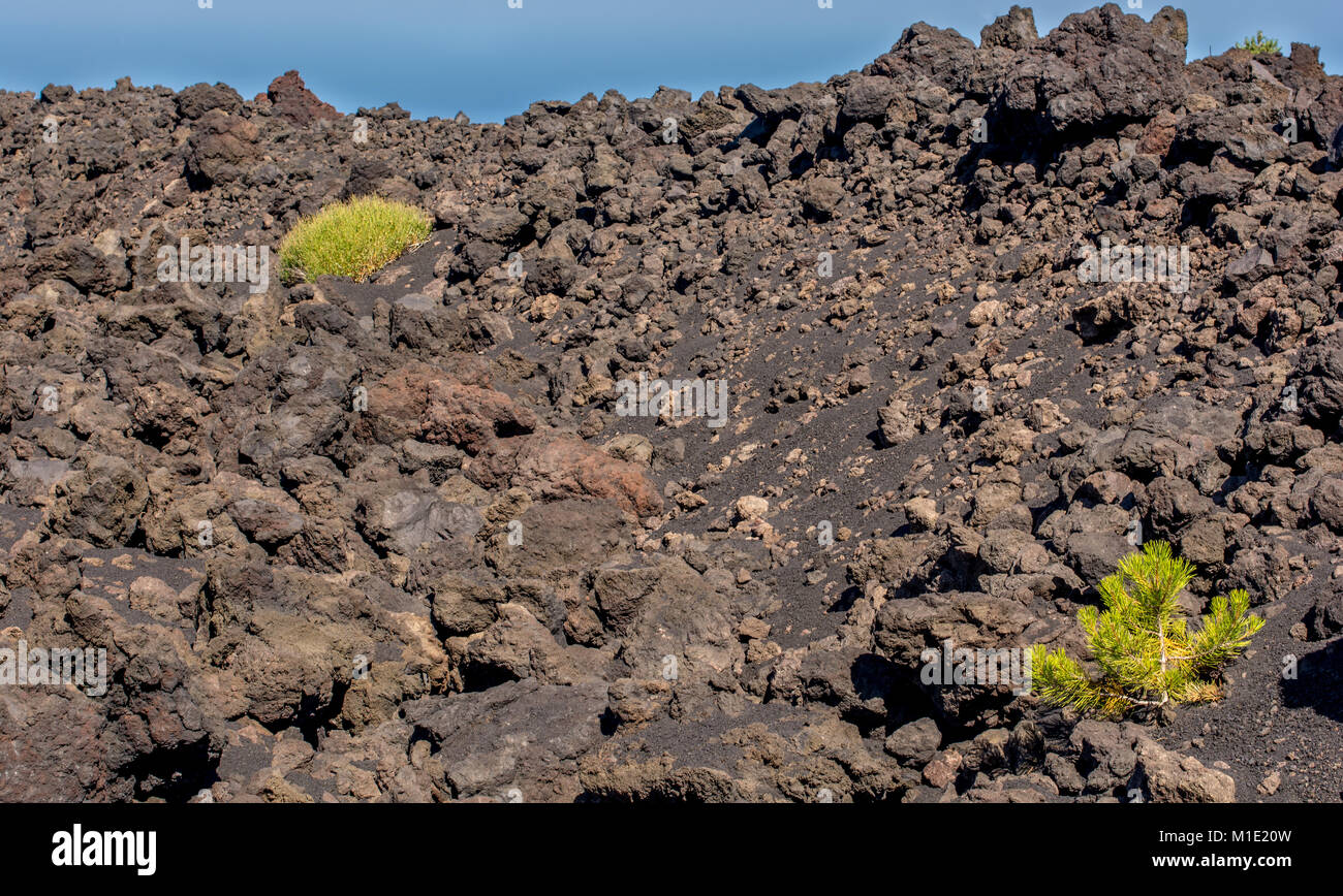 Die fruchtbaren Böden rund um den Ätna Stockfoto