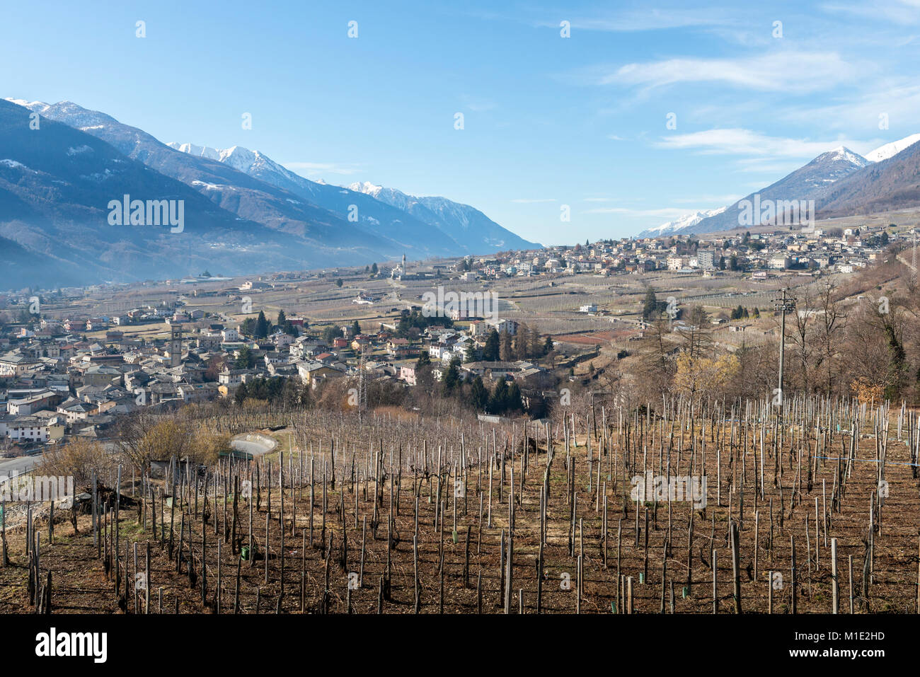 Weinberge Sondrio eine italienische Gemeinde im Herzen der Wein produzierenden Valtellina Region - Bevölkerung 20.000 Stockfoto