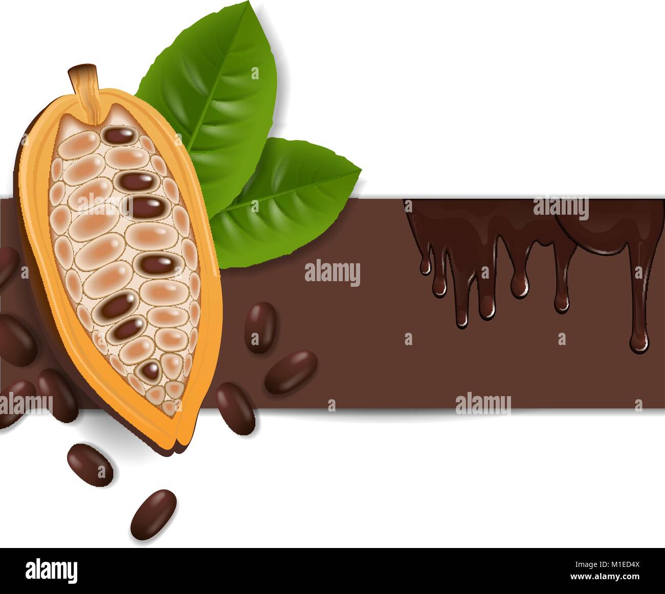 Hintergrund mit Kakao und Schokolade Stock Vektor