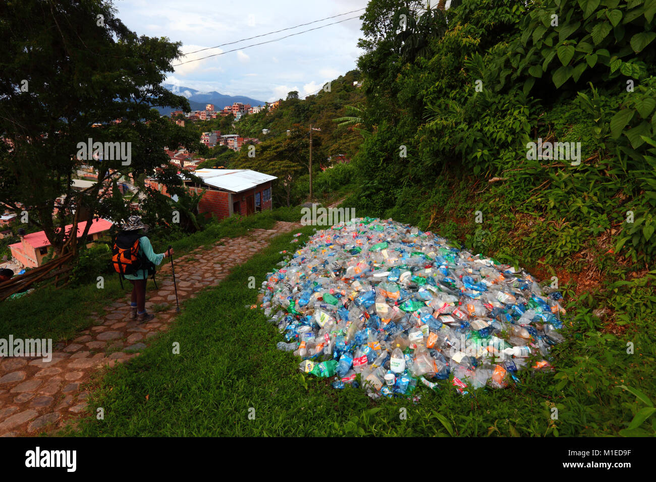 Touristische vorbei gehen. Stapel der abgeflachten Plastikflaschen in der Vegetation gedumpten Neben Fußweg, Coroico, Yungas region, Bolivien Stockfoto