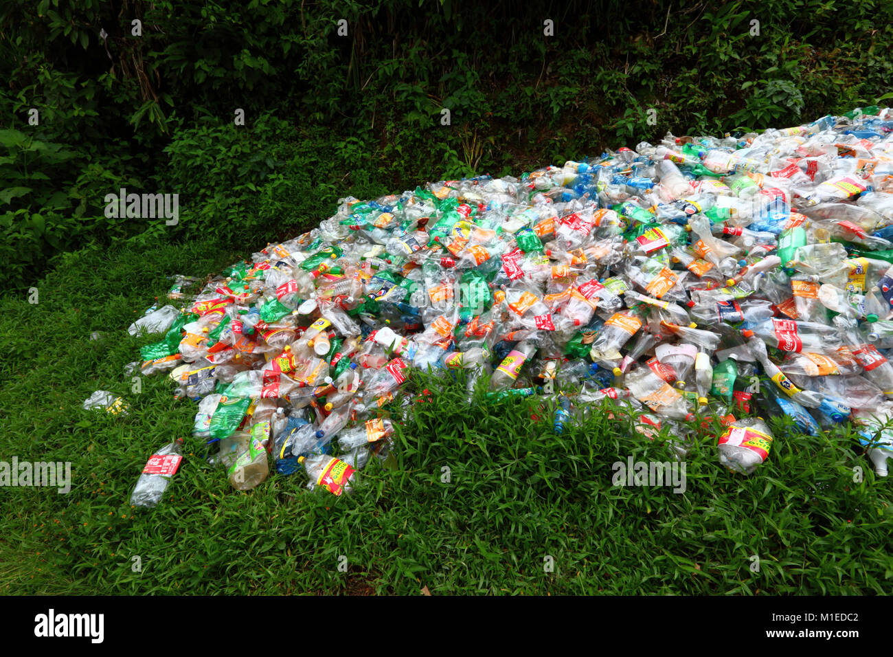 Stapel der abgeflachten Coca Cola und anderen Kunststoff fizzy Getränkeflaschen in der Vegetation gedumpten Stockfoto