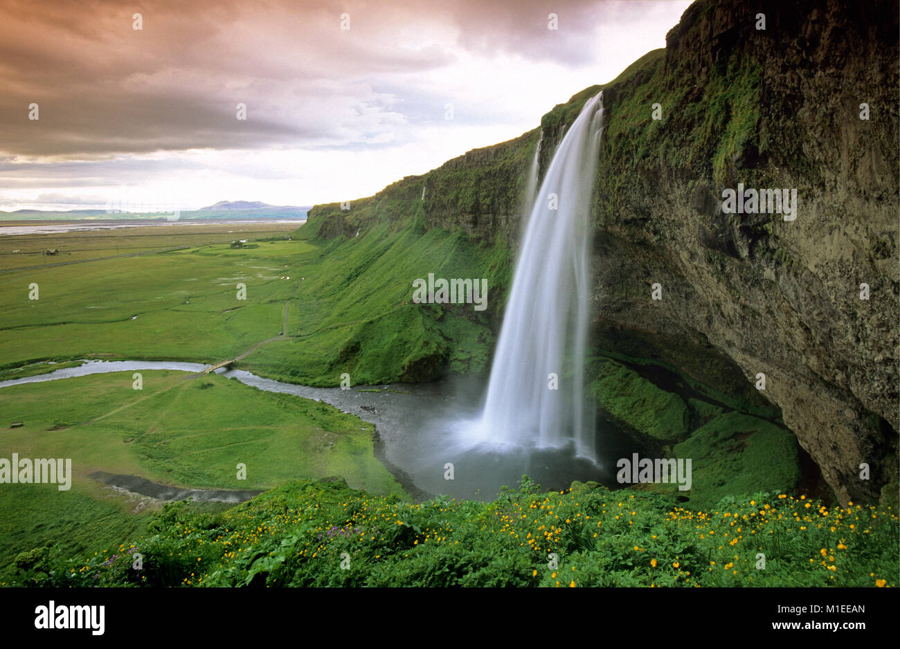 Island. Seljalandsfoss. Der Wasserfall Seljalandsfoss. Stockfoto