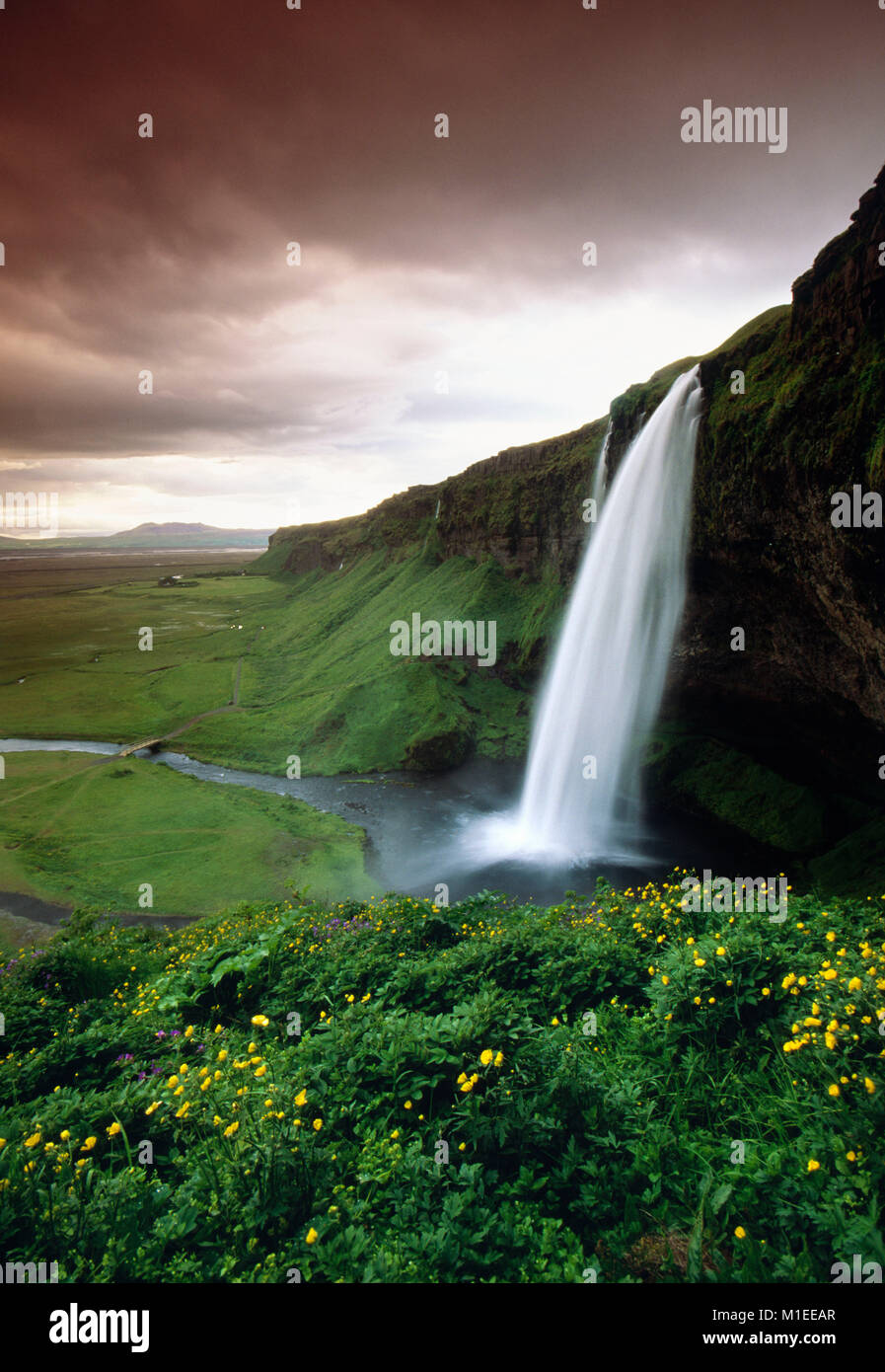 Island. Seljalandsfoss. Der Wasserfall Seljalandsfoss. Stockfoto