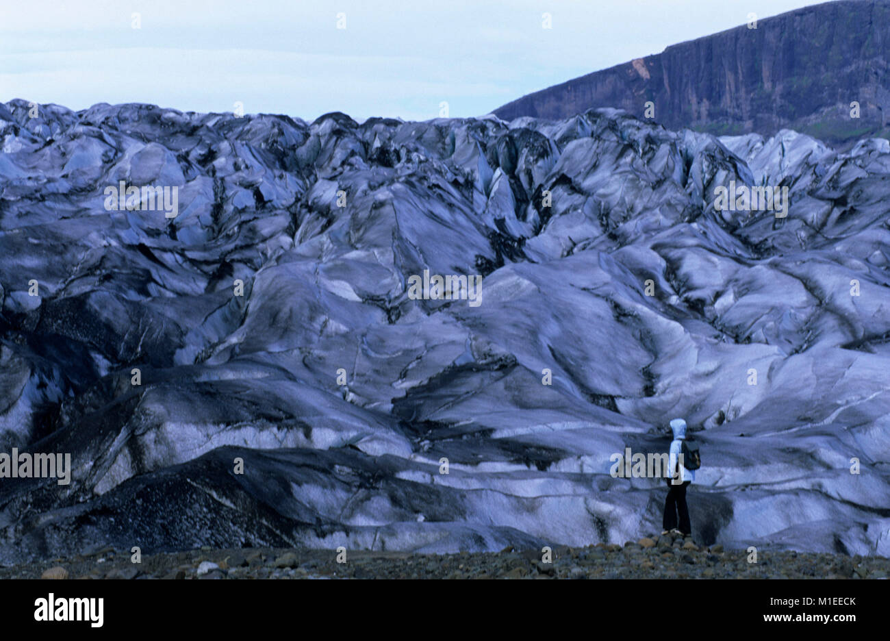 Island. Skaftafell. Skaftafell National Park. Gletscher. Touristische Blick auf Gletscher. Stockfoto