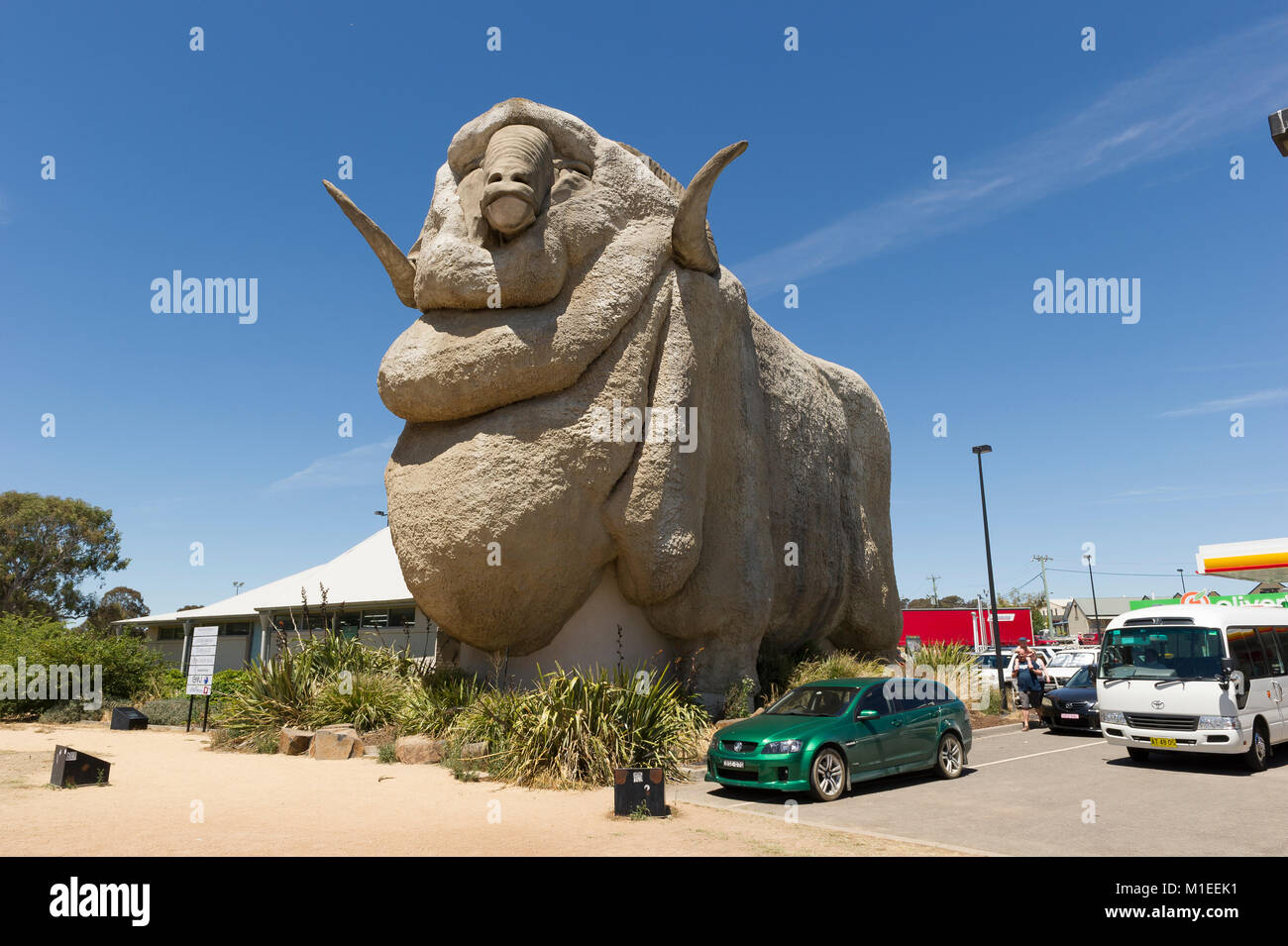 Statue des Großen Murino Schafe, große Ram am Eingang der Geschenkeladen, Goulburn, New South Wales, Australien. Stockfoto