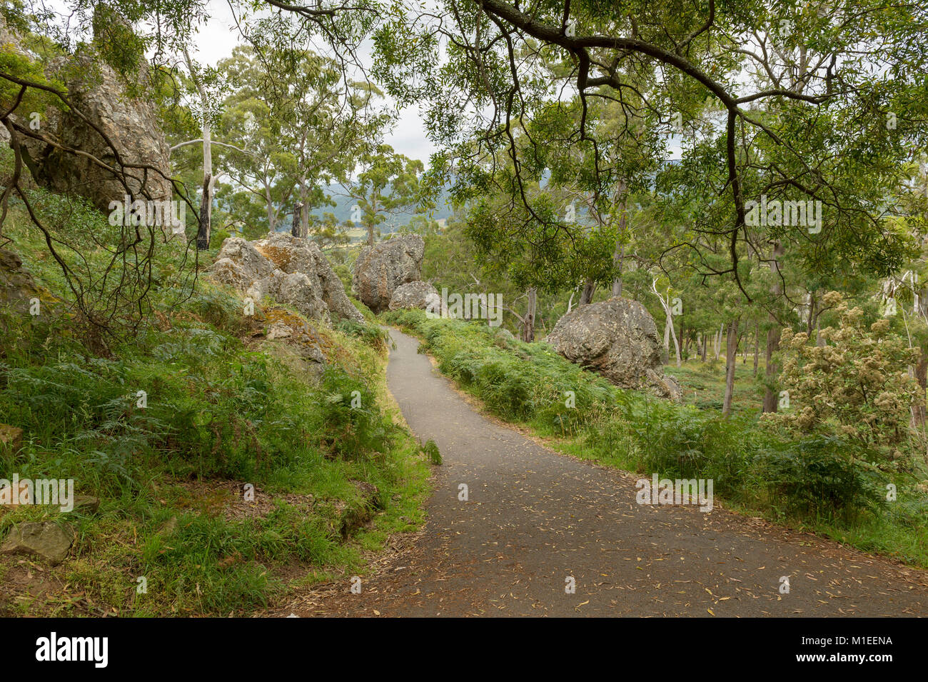 Hanging Rock, National Park in der Nähe von Melbourne, Victoria, Australien Stockfoto