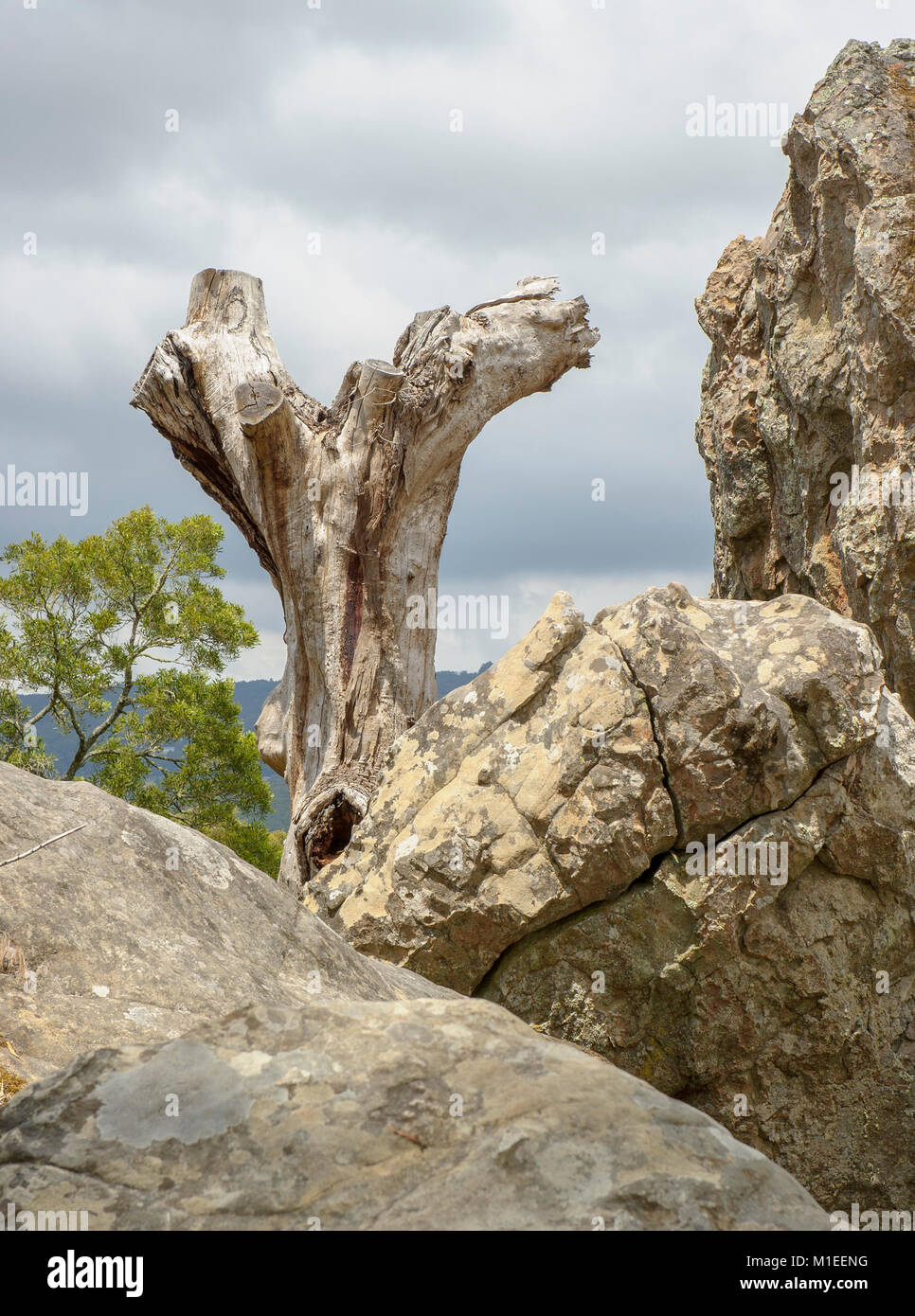 Hanging Rock, National Park in der Nähe von Melbourne, Victoria, Australien Stockfoto