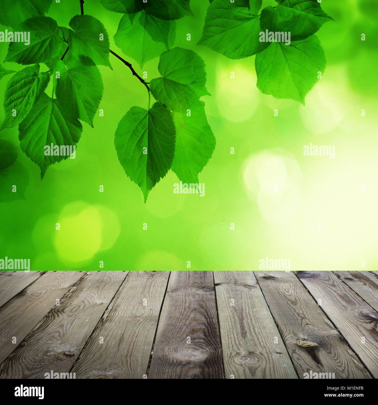 Abstrakte Frühling Hintergrund mit leeren Holztisch, Grün Bokeh und Linden verlässt. Im Frühling oder im Sommer Hintergrund Grenze Stockfoto