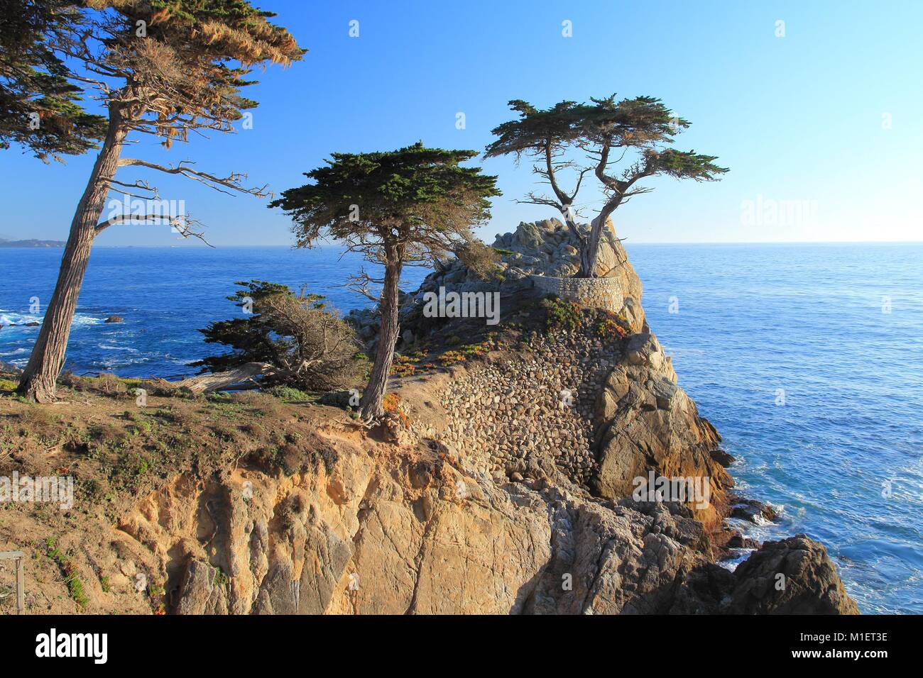 MONTEREY, Kalifornien - 7. APRIL 2014: Lone Cypress Tree View an der berühmten 17 km Fahrt in Monterey. Quellen behaupten, es ist eines der am meisten fotografierten Stockfoto