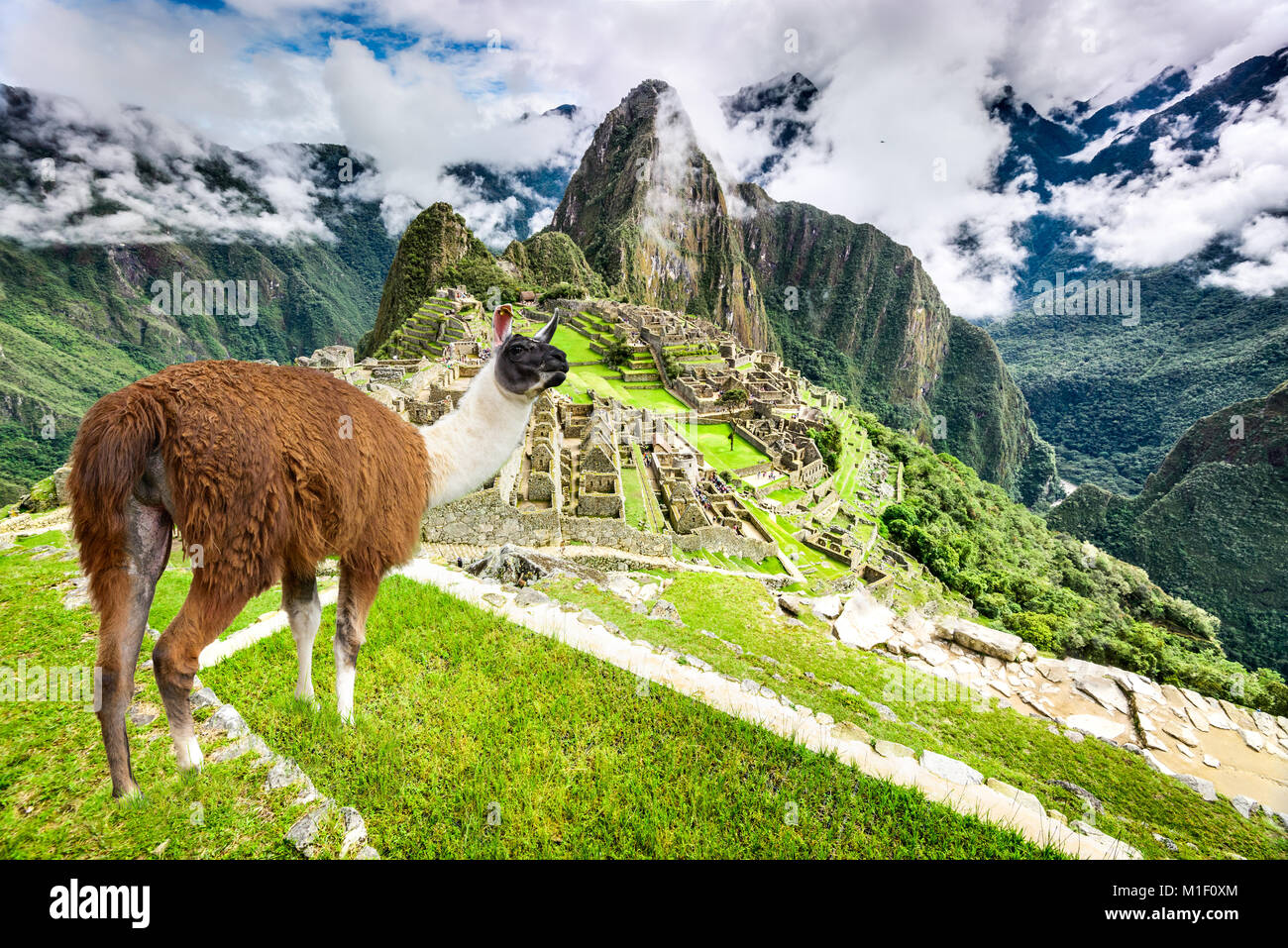 Machu Picchu, Cusco, Peru - Inca Empire City und Huaynapicchu Berg, das Heilige Tal. Fantastischer Ort von Südamerika. Stockfoto