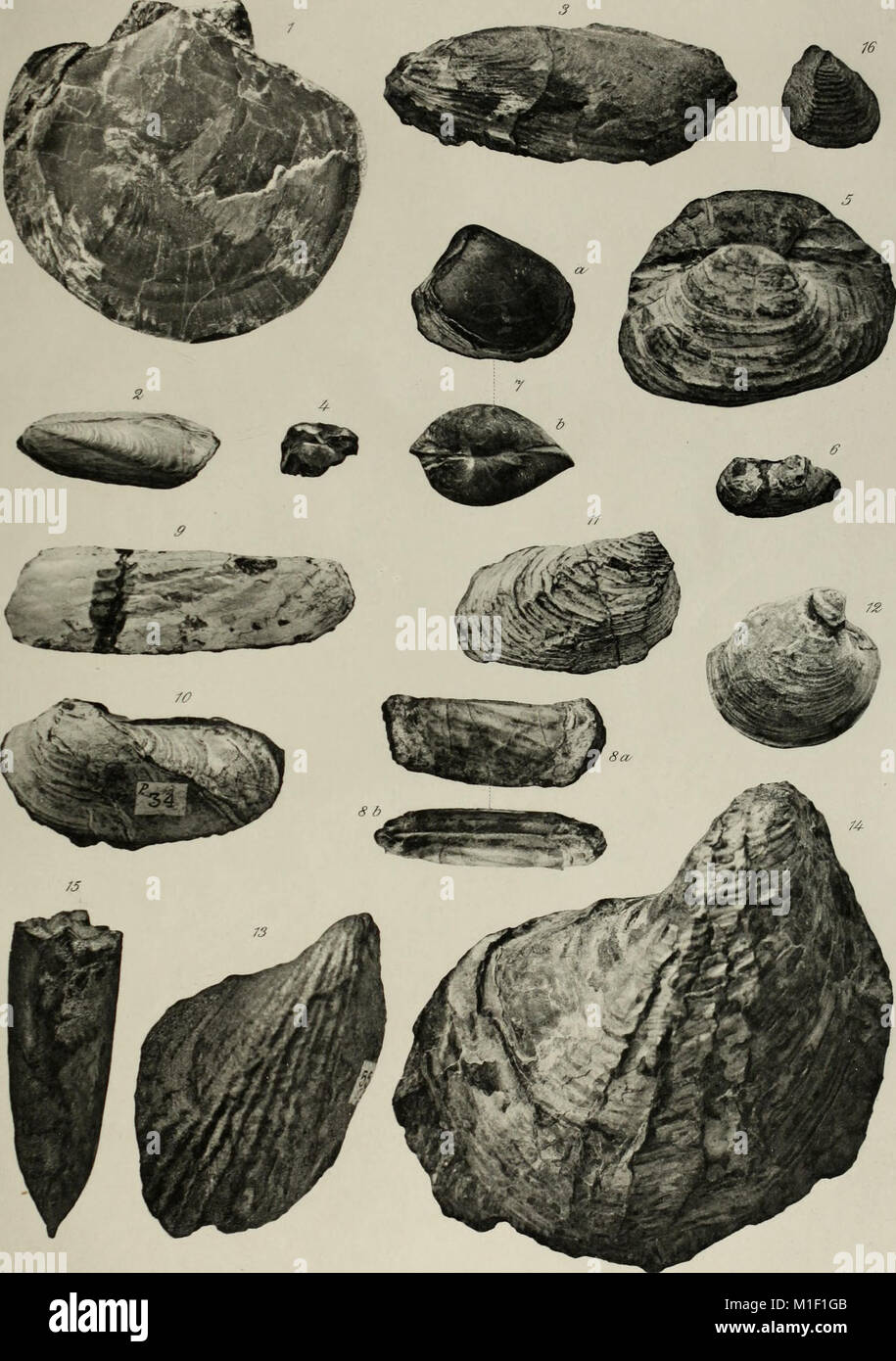 Eine 1903 erschienene Publikation des Geologischen Landesvermessens Österreichs mit dem Schwerpunkt regionale Geologie und Bodenschätze. Es enthält Karten und Erläuterungen zu Österreichs Thermalwasservorkommen, die ihre Bedeutung als geschützte und doch endliche Ressource hervorheben. Stockfoto