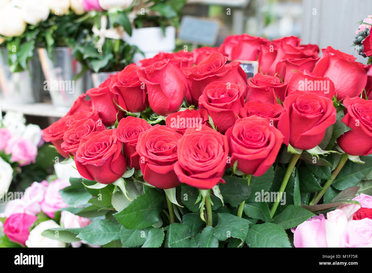 Schöne Blumen bereit für Valentinstag, Sträuße von bunten Blumen. Stockfoto