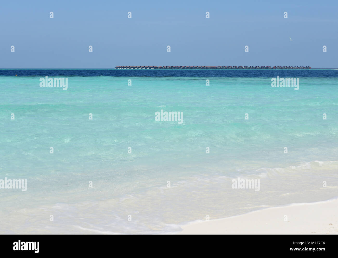 Malediven tropisches Paradies mit türkisfarbenem Wasser Stockfoto