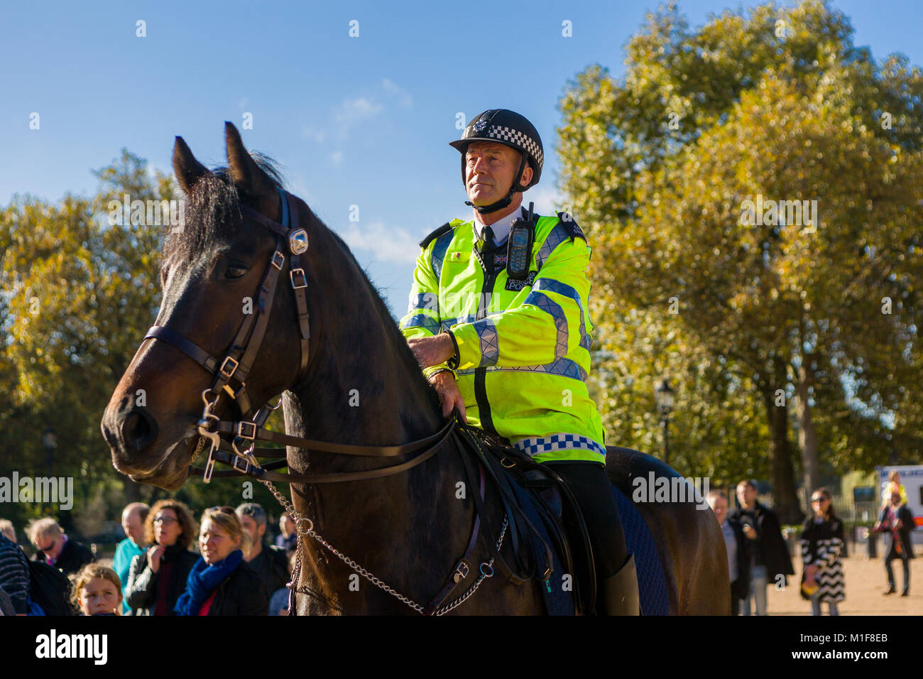 Ein Polizist auf dem Pferderücken wacht über eine kleine Schar von Menschen, wie sie die Wachablösung an der Horse Guards Parade, London ansehen. Stockfoto