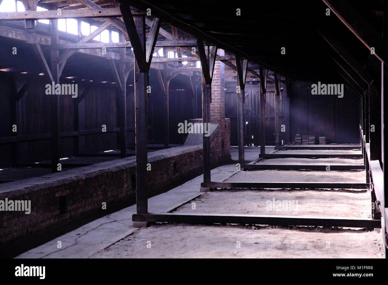 Innenraum der verbleibenden Holz- Unterkunft Hütte in Auschwitz II-Birkenau Holocaust Gedenkstätte und Museum Polen Stockfoto