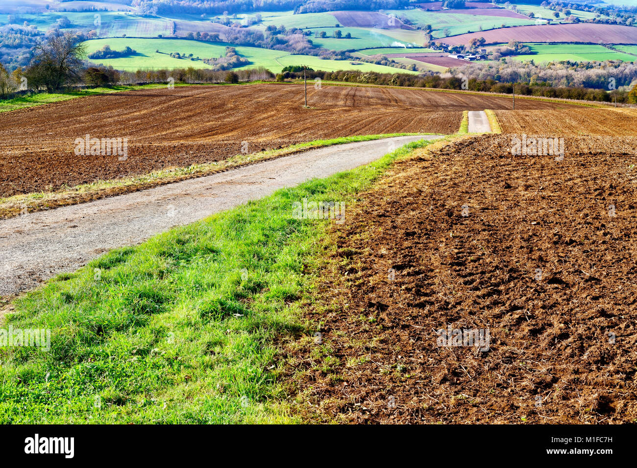 Ein Feldweg seziert Ackerland in ländlichen Gloucestershire. Stockfoto