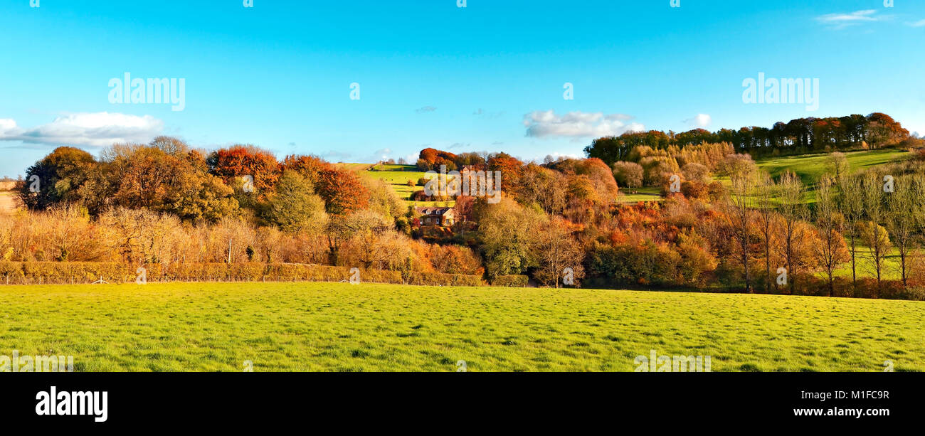 Ein Herbst Blick auf Baum bedeckte Hügel in Gloucestershire, England, Großbritannien Stockfoto