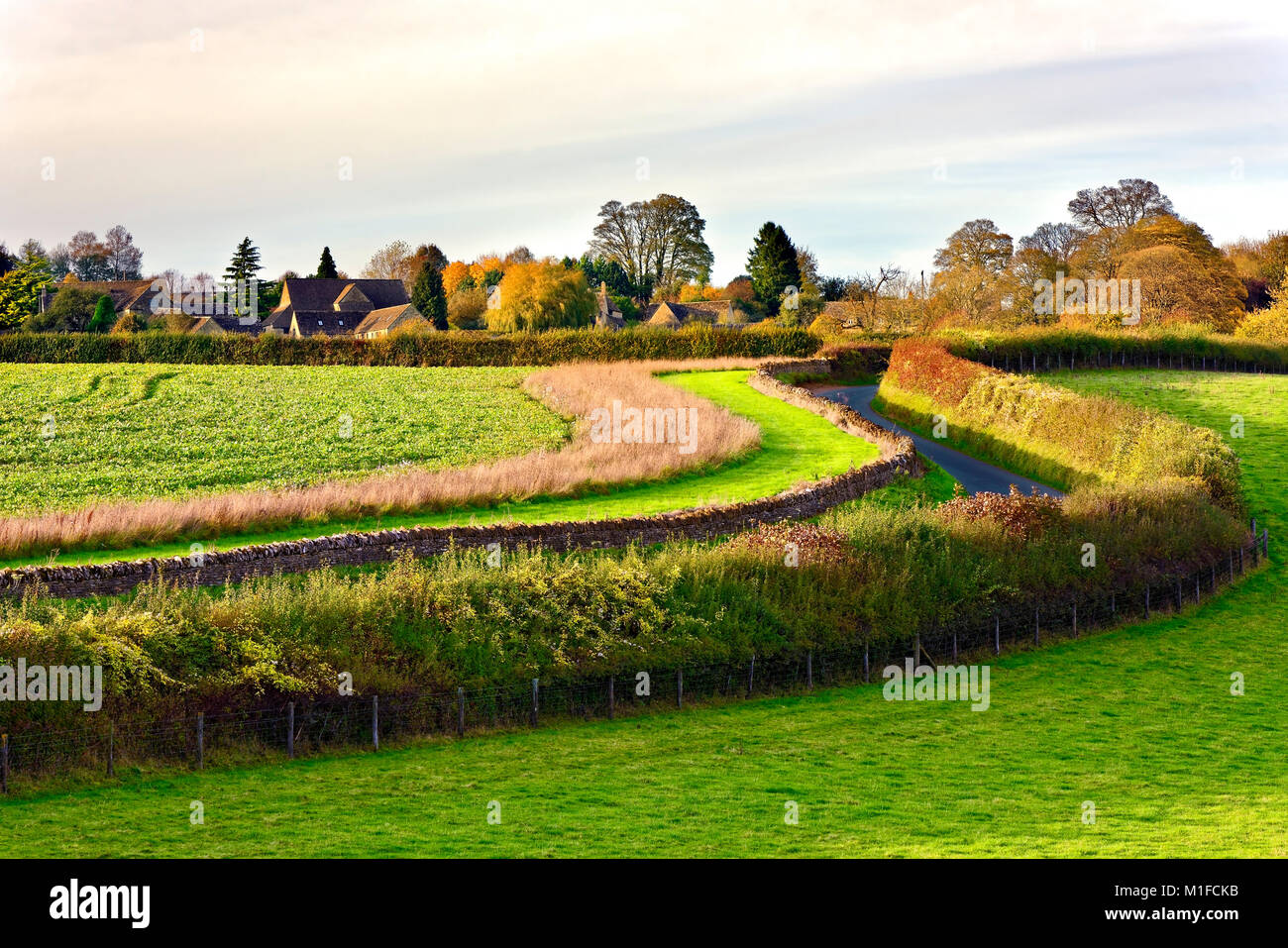 Ein Herbst Blick auf die unverwechselbare Landschaft der Cotswolds. Stockfoto