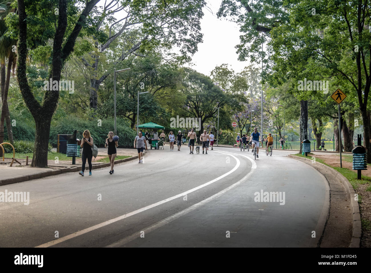Menschen joggen und Radfahren in der Ibirapuera-park - Sao Paulo, Brasilien Stockfoto