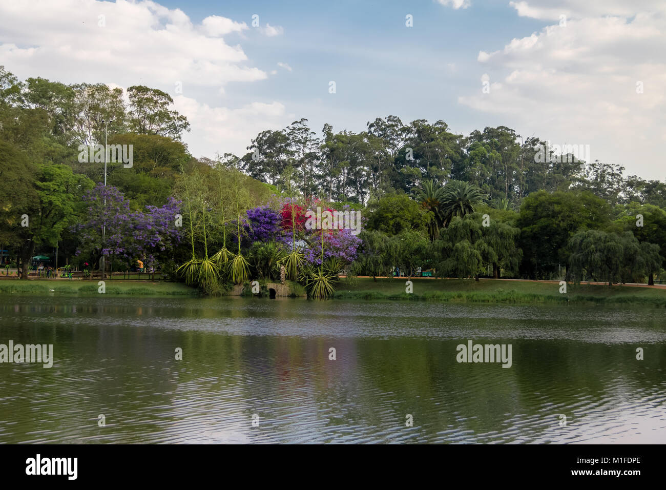 Ibirapuera Park See - Sao Paulo, Brasilien Stockfoto
