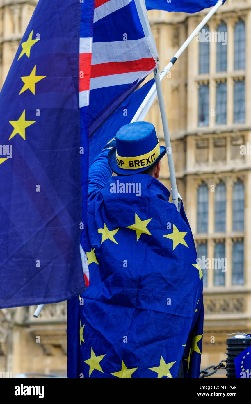 Anti-Brexit Demonstrant zeigt außerhalb des Houses of Parliament in London, England, Vereinigtes Königreich, Großbritannien Stockfoto