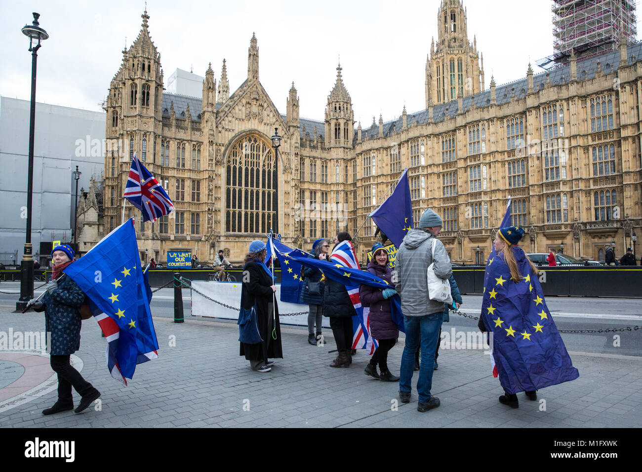 London, Großbritannien. 30 Jan, 2018. Anti-Brexit Demonstranten von sodem (Stand der Missachtung der Europäischen Bewegung) wave Europäische Union Flaggen und Union Jacks außerhalb des Parlaments. Credit: Mark Kerrison/Alamy leben Nachrichten Stockfoto