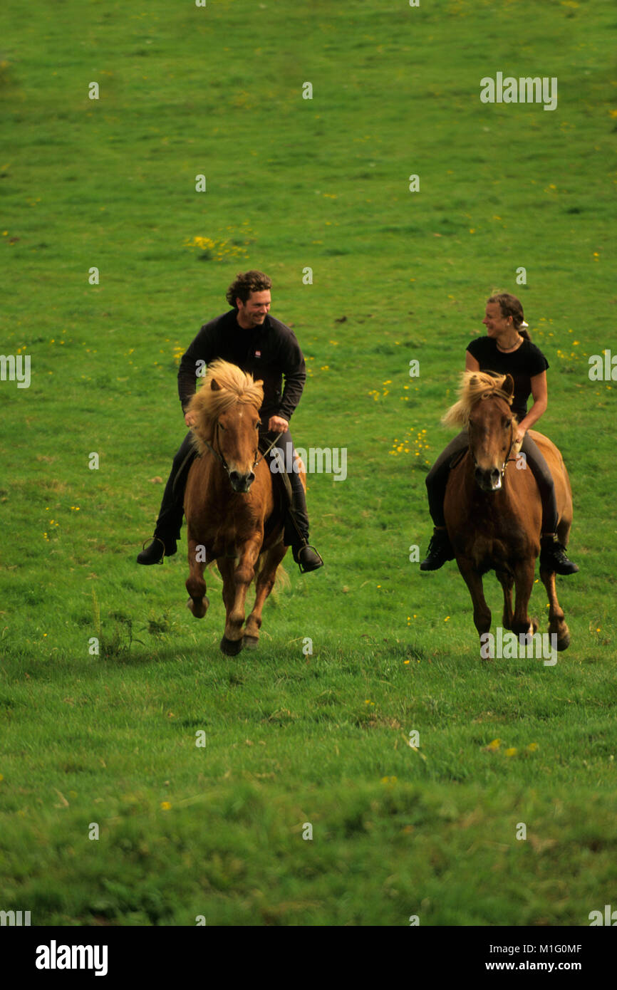 Island. Geysir. Paar reiten Islandpferde. Stockfoto