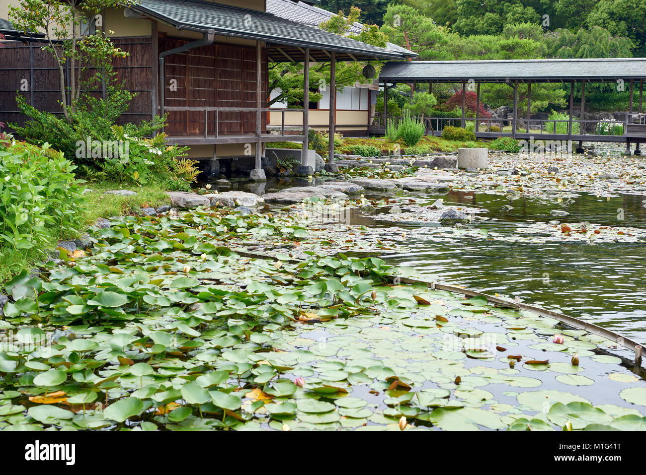 Shirotori traditionellen Japanischen Garten in Nagoya. Stockfoto