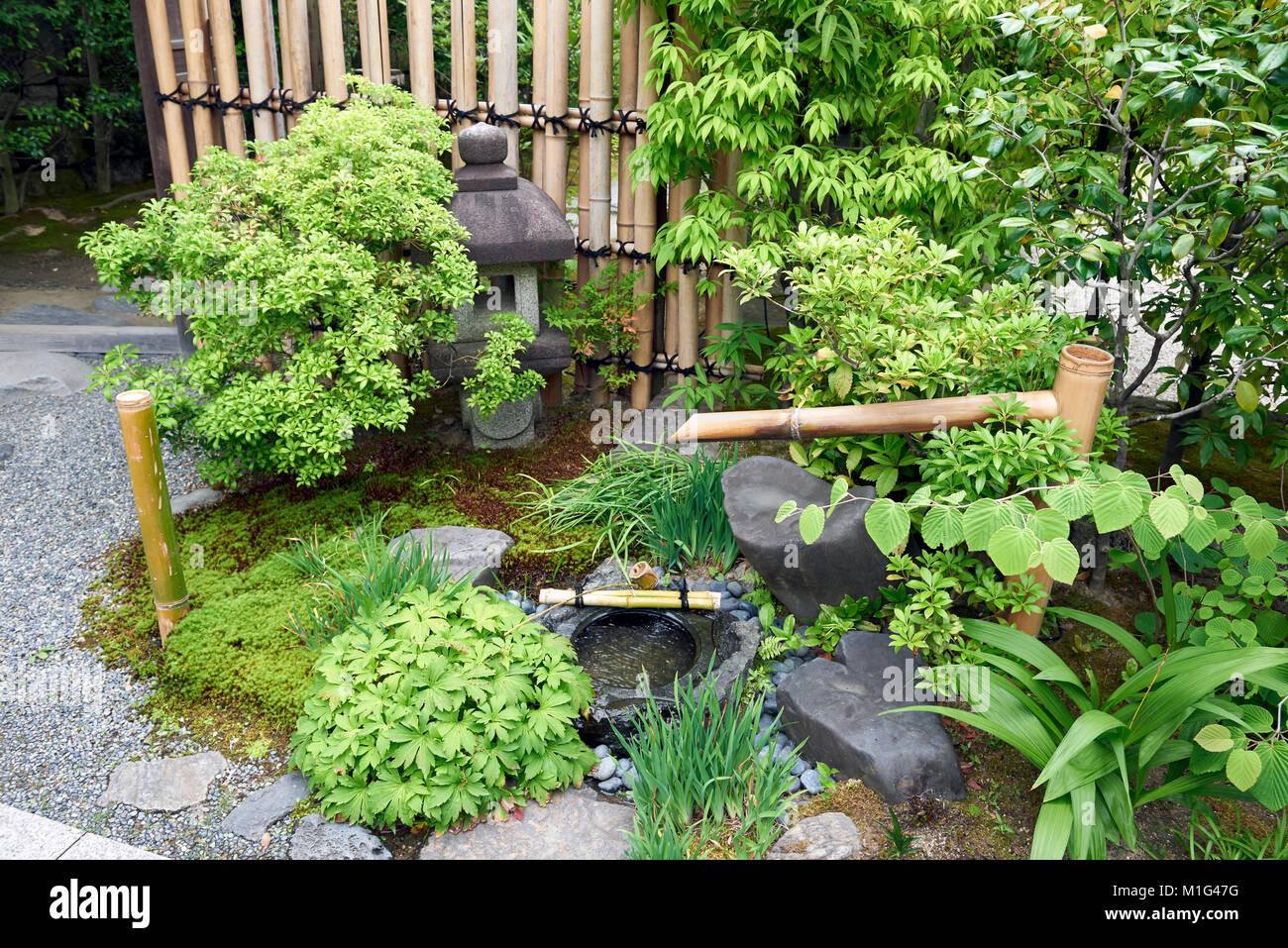 Japanischer traditioneller garten Fotos und Bildmaterial in hoher