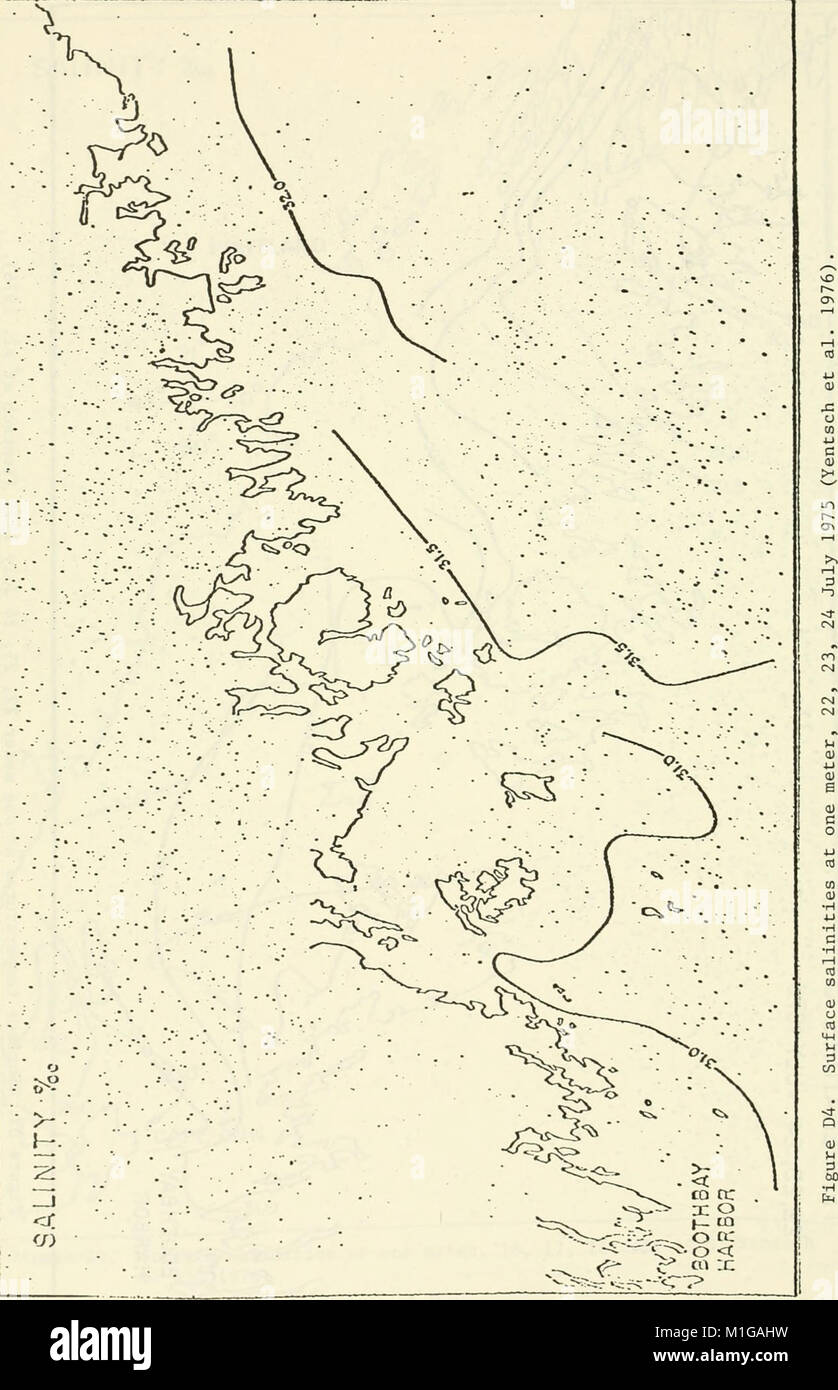 Eine ökologische Charakterisierung von Küstenmaine (nördlich und östlich von Cape Elizabeth) (1980) (21132425042) Stockfoto