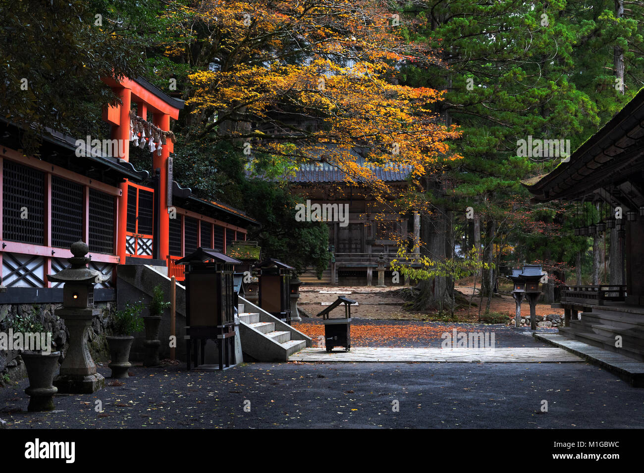 Kyoasan, Japan, November 11, 2017: Myo Schrein am Danjo Garan Tempelanlage am Mount Kyoasan in der Präfektur Wakayama, Japan abgebildet ist im Herbst shrou Stockfoto