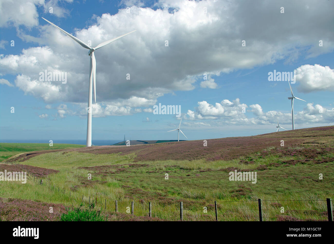 Windkraftanlagen, Innerwick, Scottish Borders Stockfoto