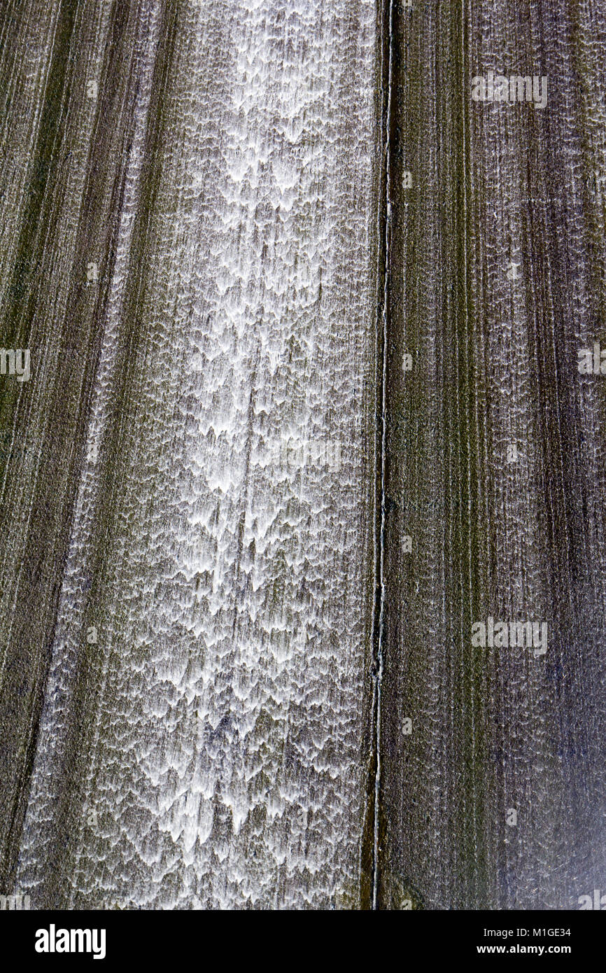 White Water overspill run off auf der stark sonnenbeschienenen Betonwand der Llys y Fran Behälter Dam, Pembrokeshire, Wales, Großbritannien Stockfoto